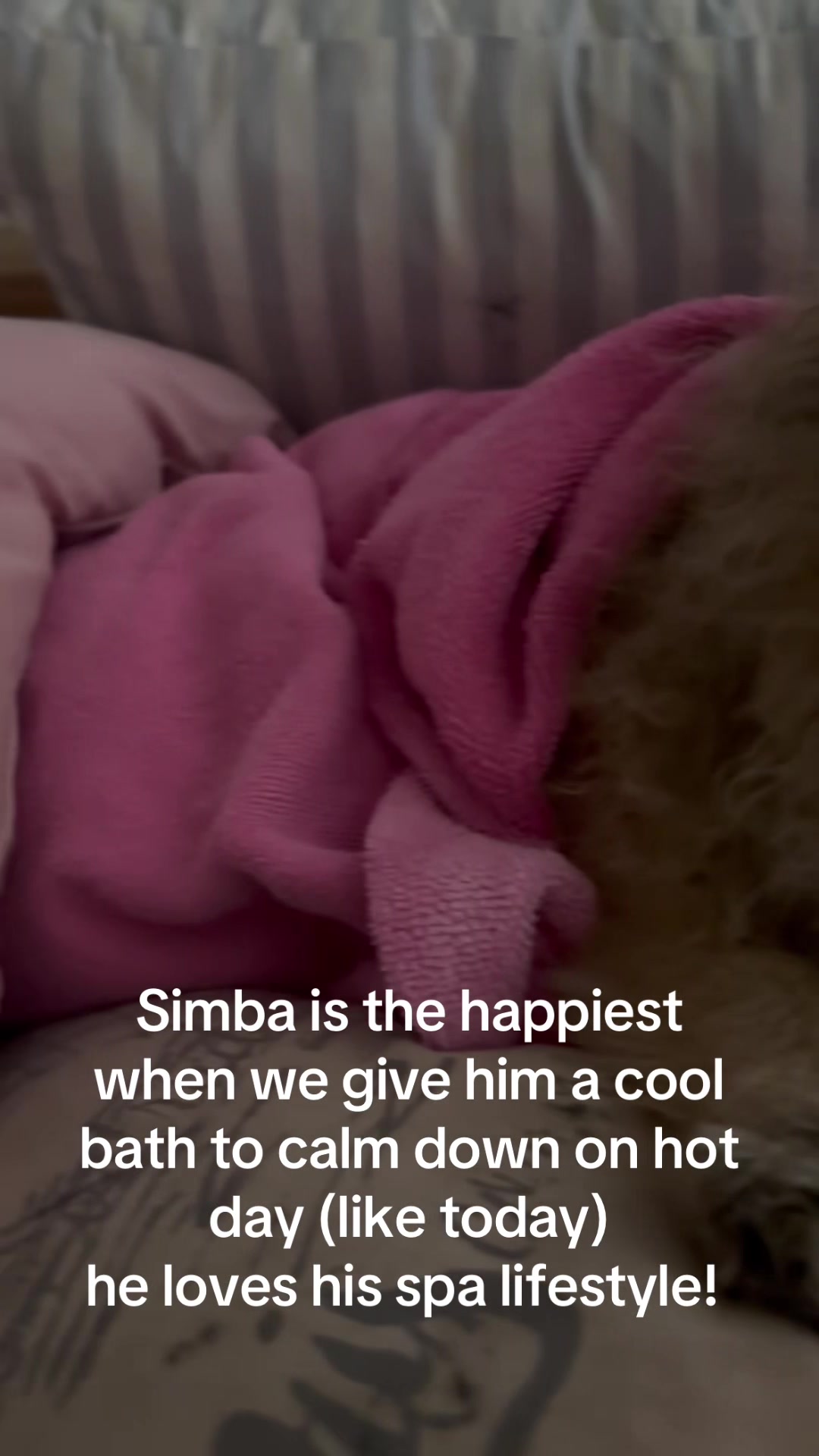 @datingwholenotbroken