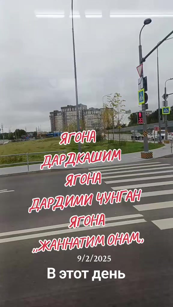 @shoira2281