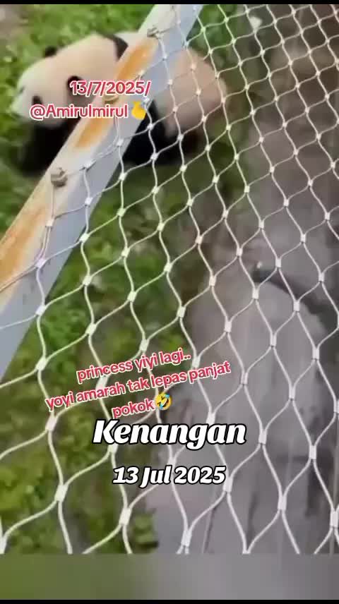 @AmirulMirul3