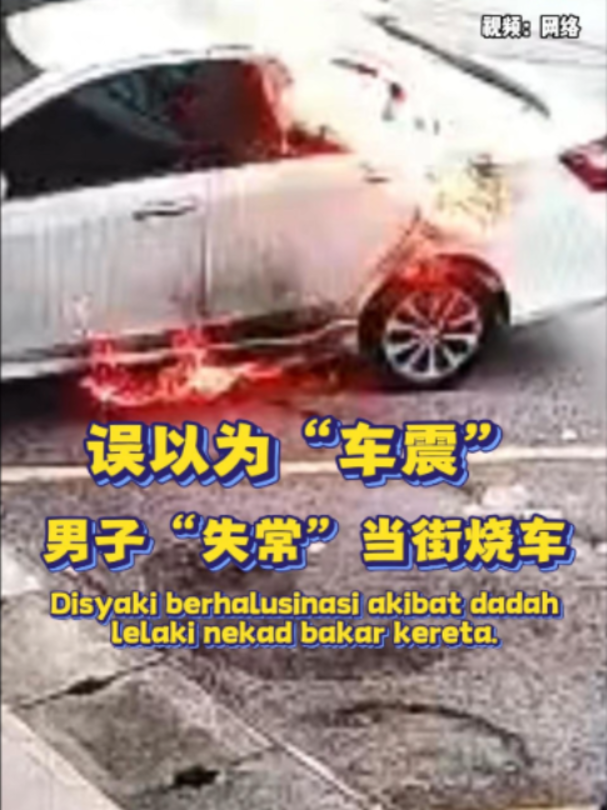 @中国报