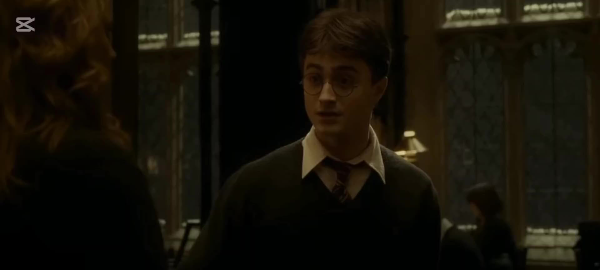 @harrypotterfan8507