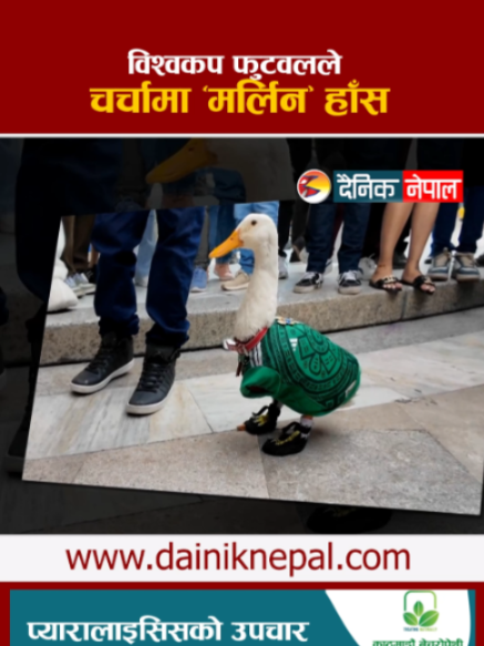 @दैनिक नेपाल