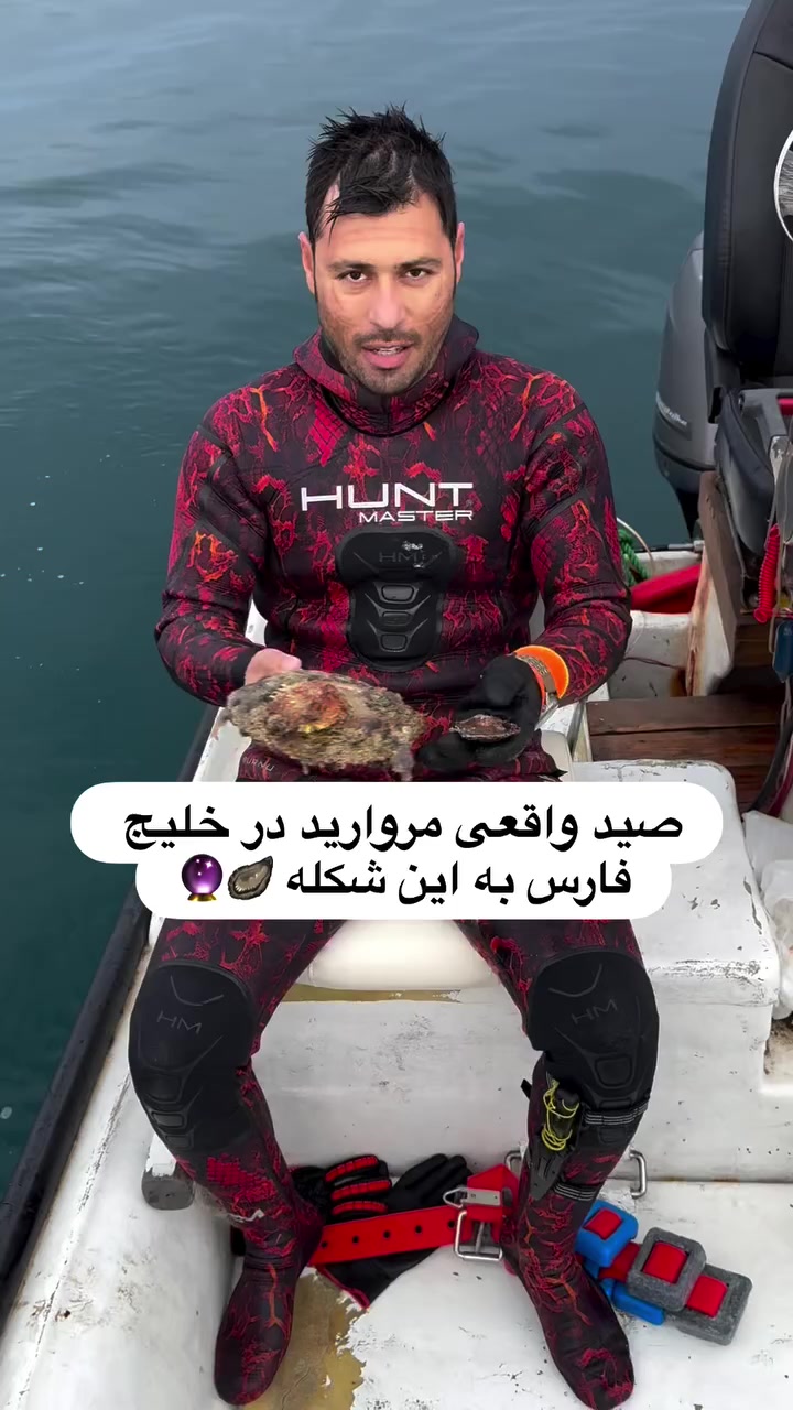 @Shahab Jaberi