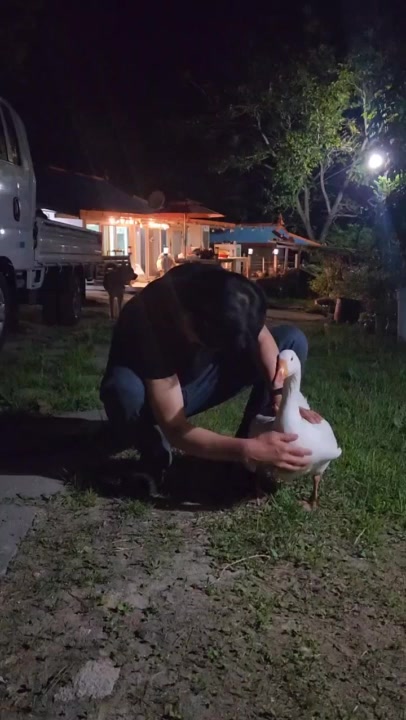 @커피향