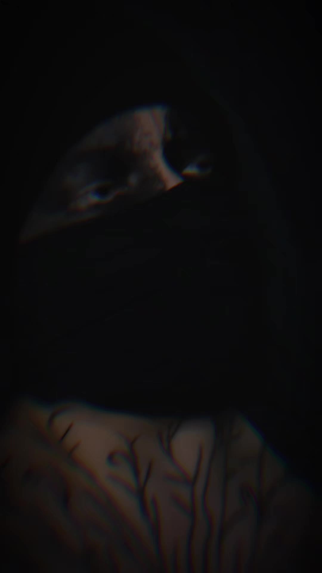@๐ฎ๐๐๐๐๐๐๐ ๐ฐ๐