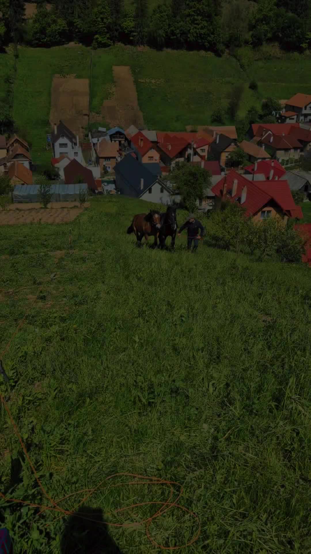 @🤠 Georgiana 🐴