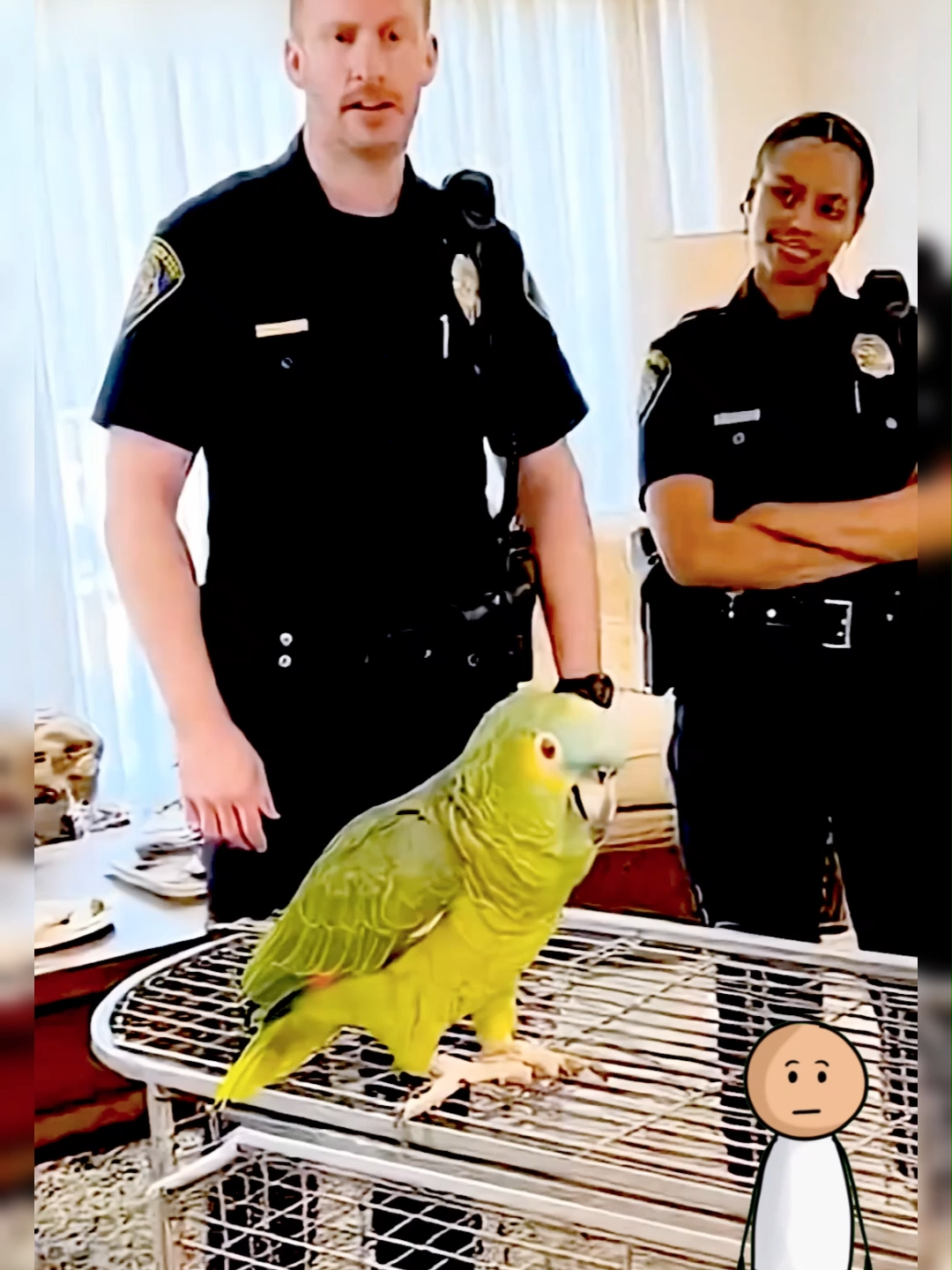 @Funny Animal Voiceover