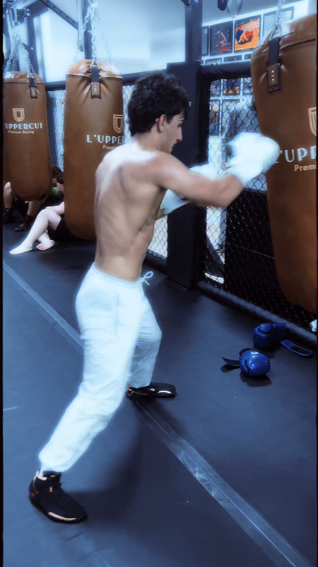 @orlandomma
