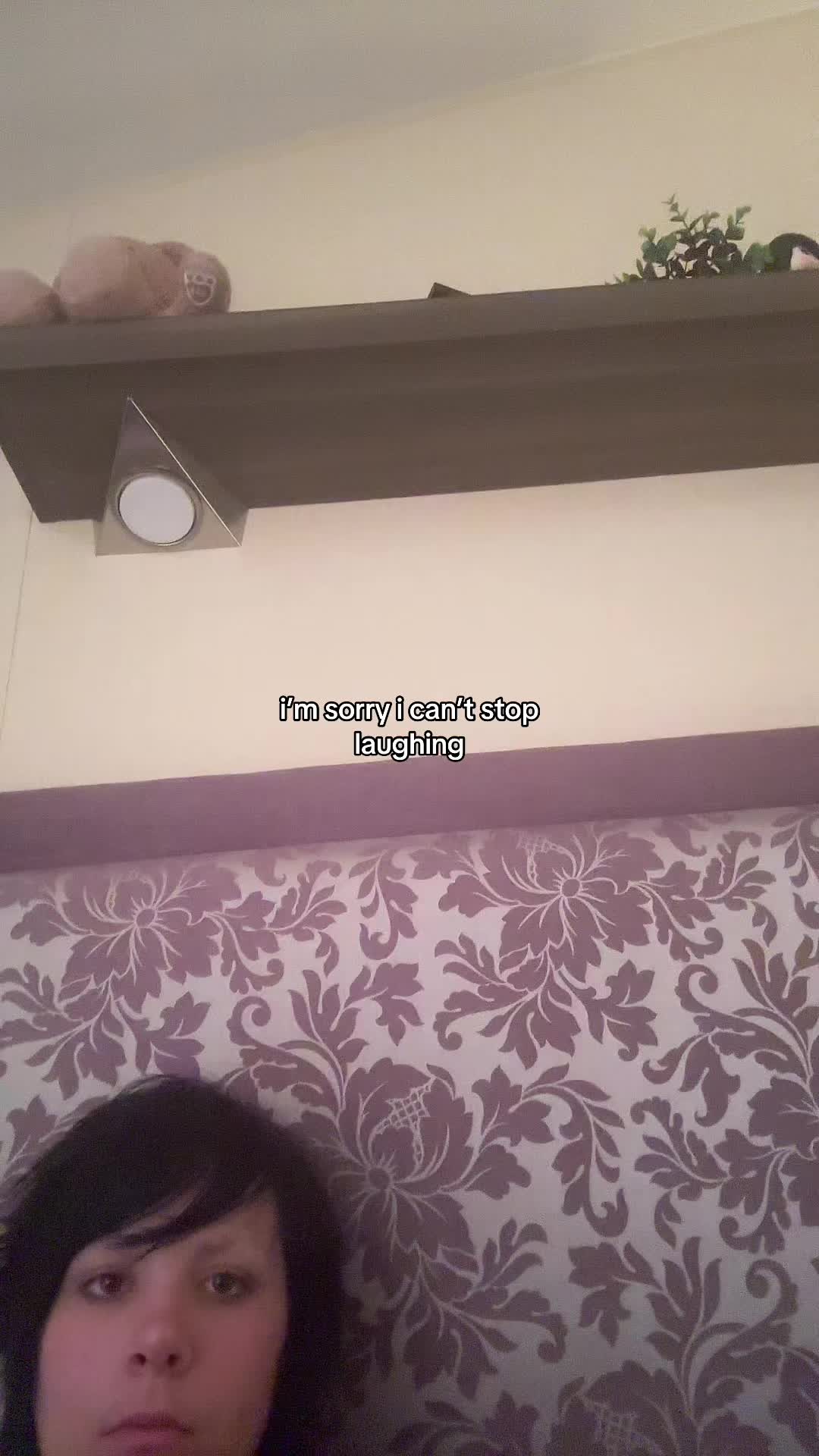 @๐ฆด๐๐๐ ๐พ