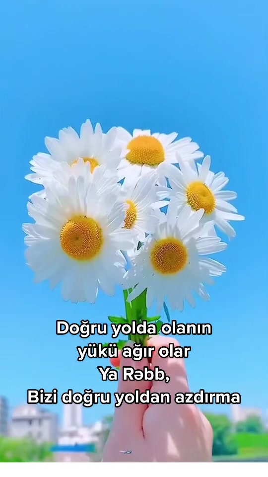 @Nur Şahgəldi