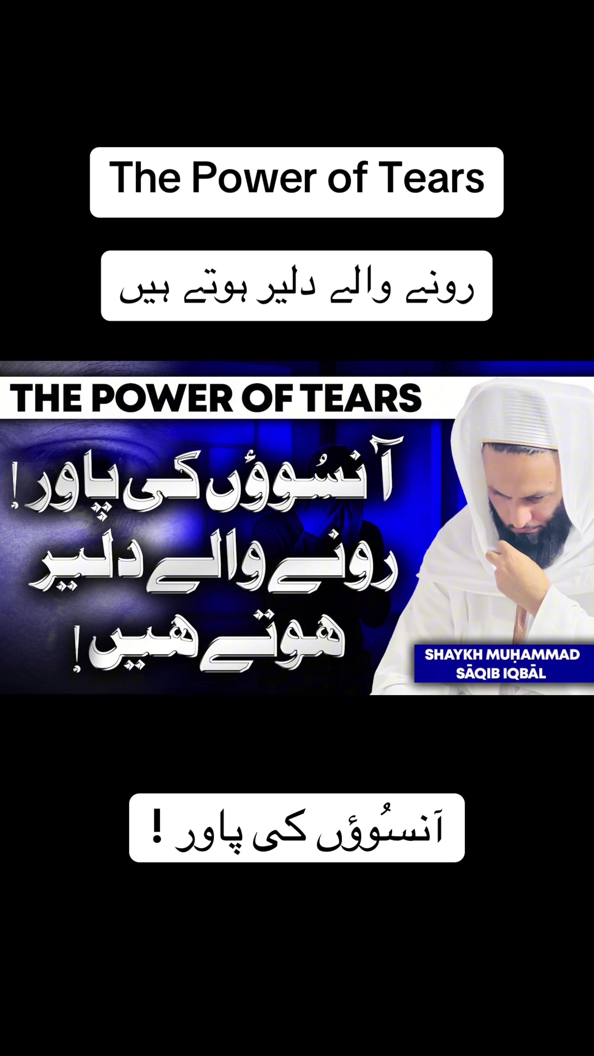 @Saqib Iqbal