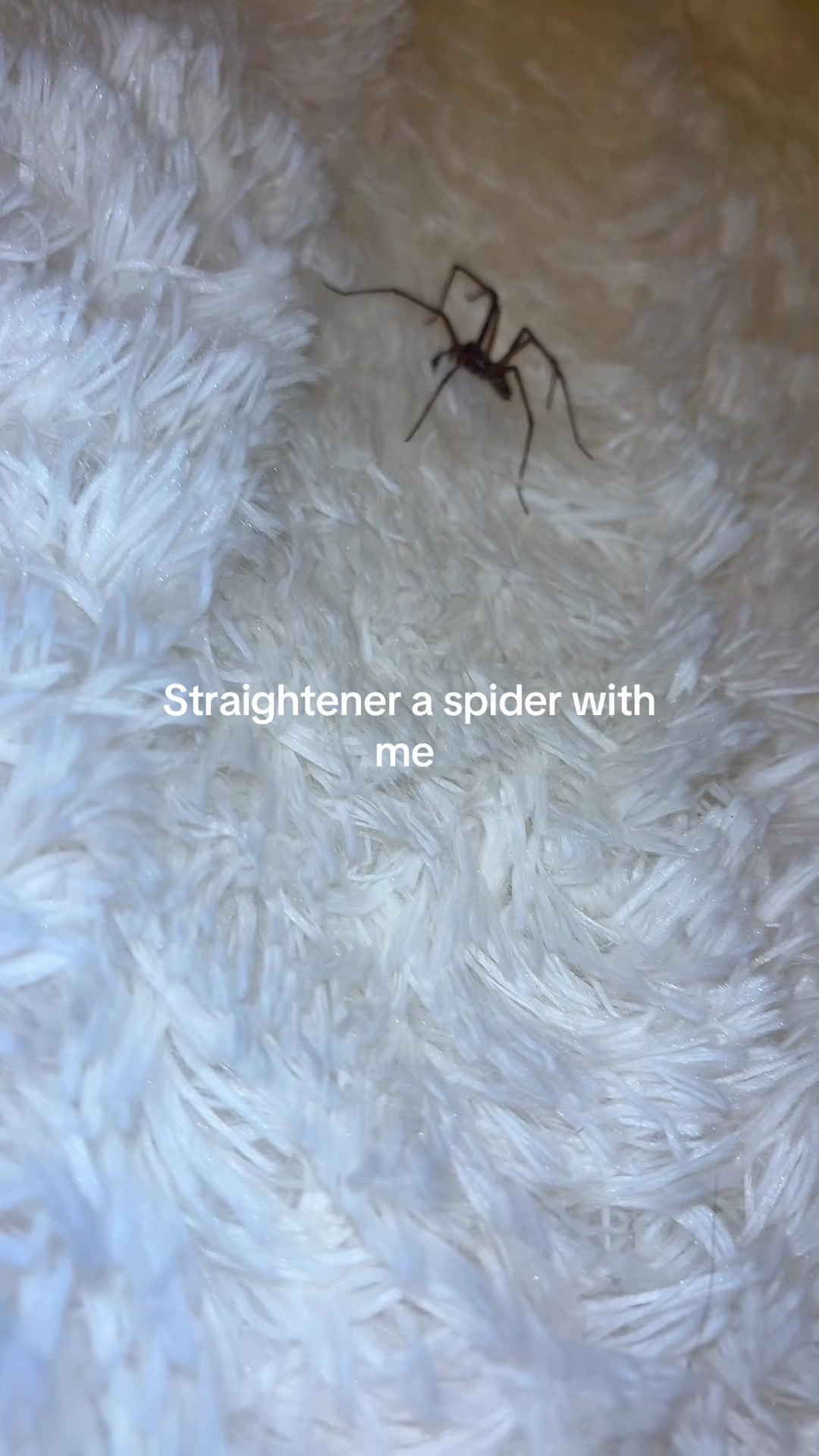 @w