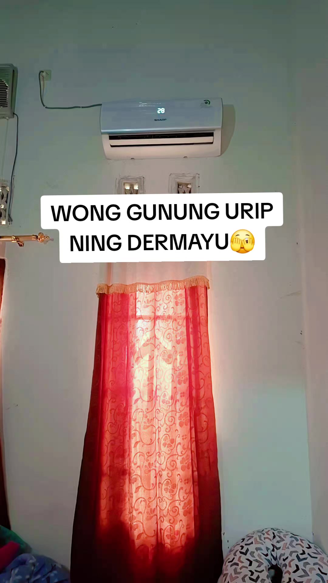 @OLEYA