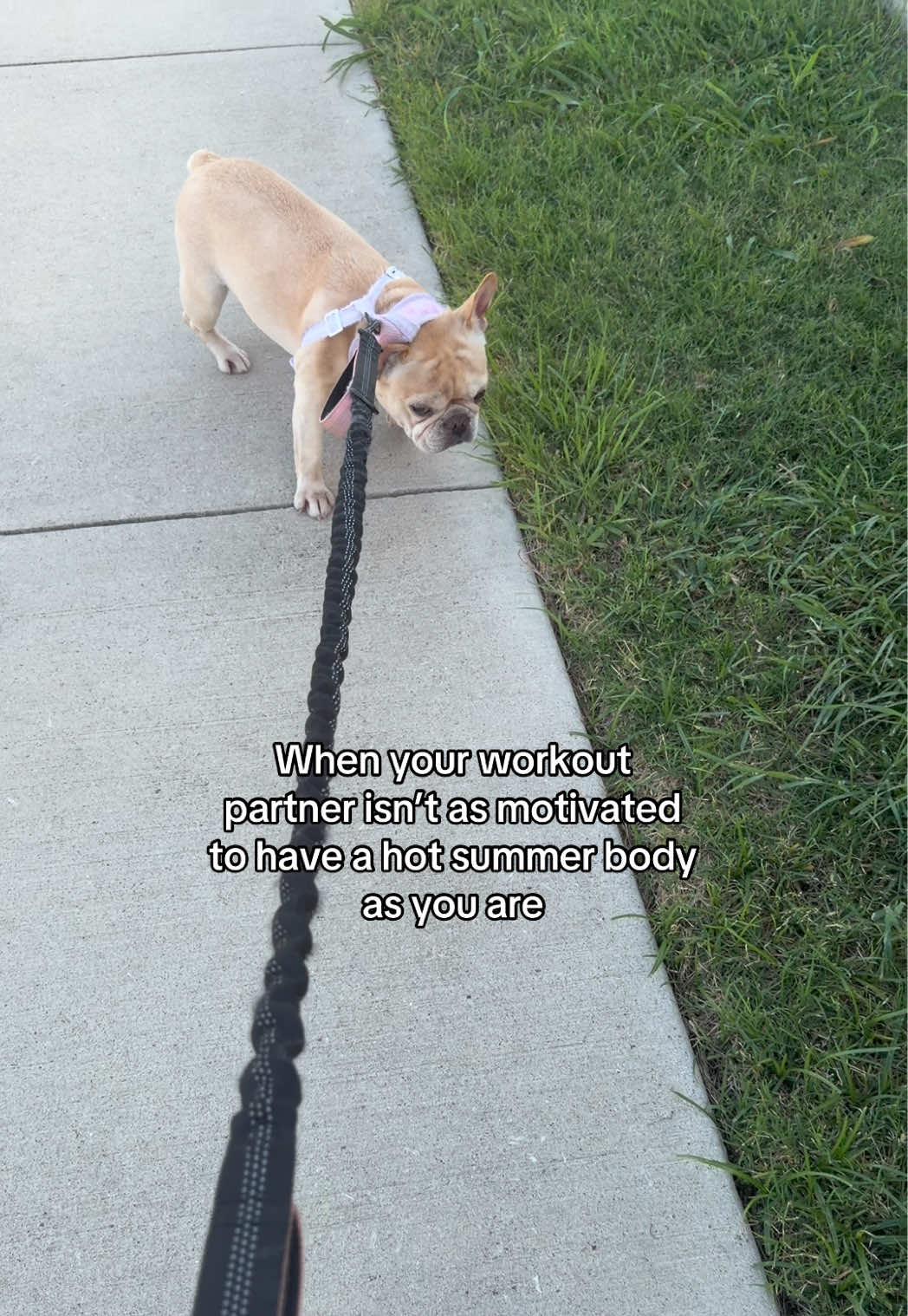 @JUSTINE TAY