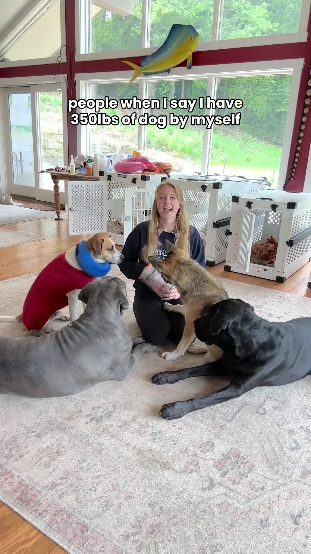 @Taylor + 4 dogs