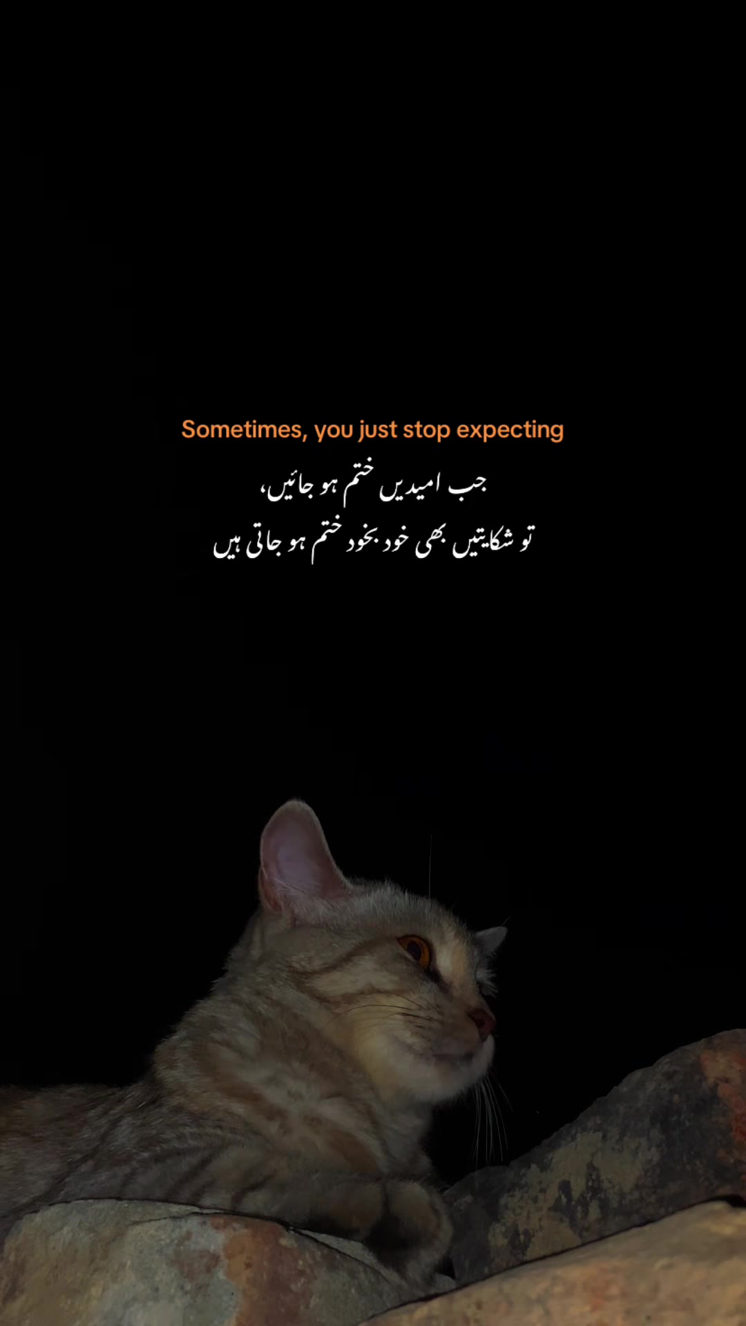 @𝙏𝙖𝙡𝙝𝙖 𝟐🫀❤️🩹