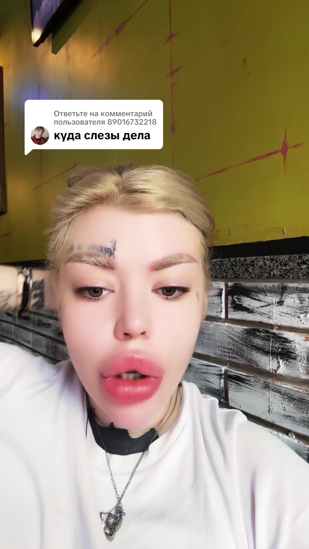 @SofiaLoran