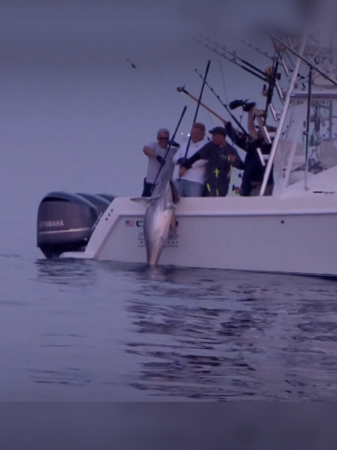 @Fishing TV