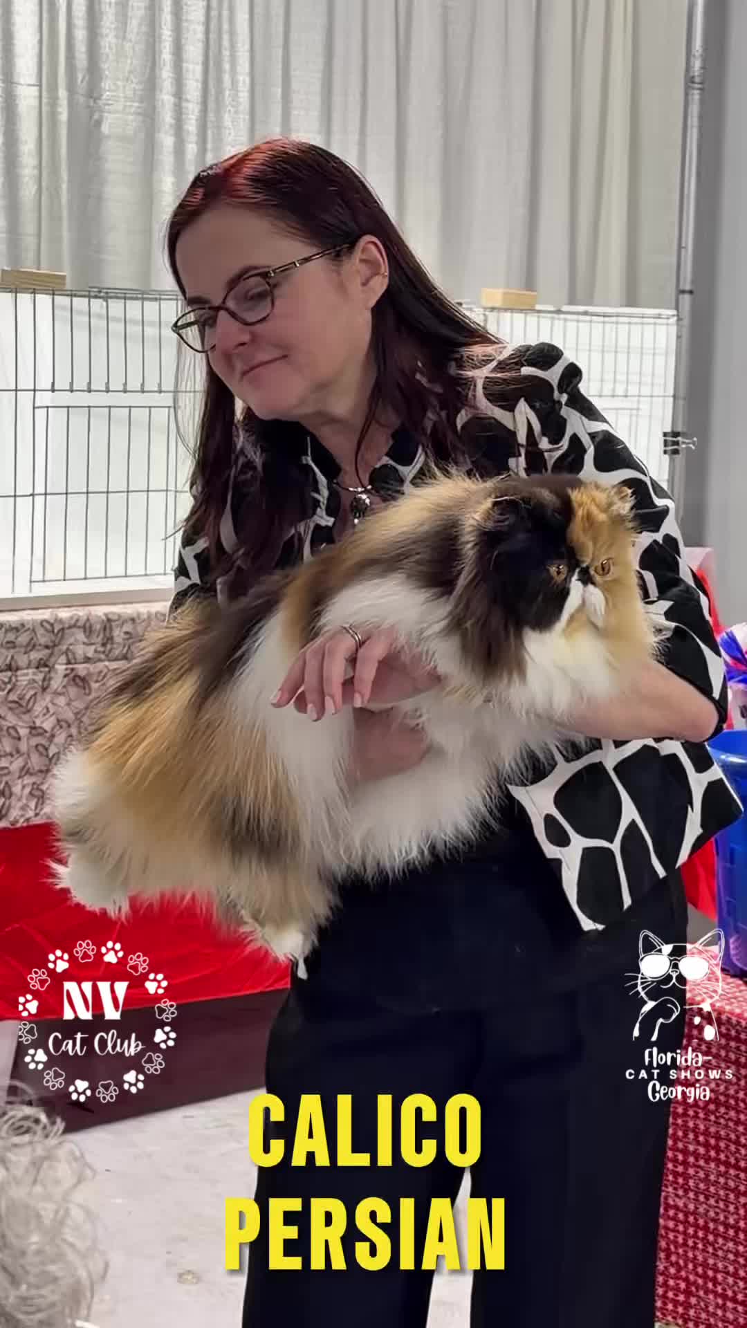 @NewVisionCatClub