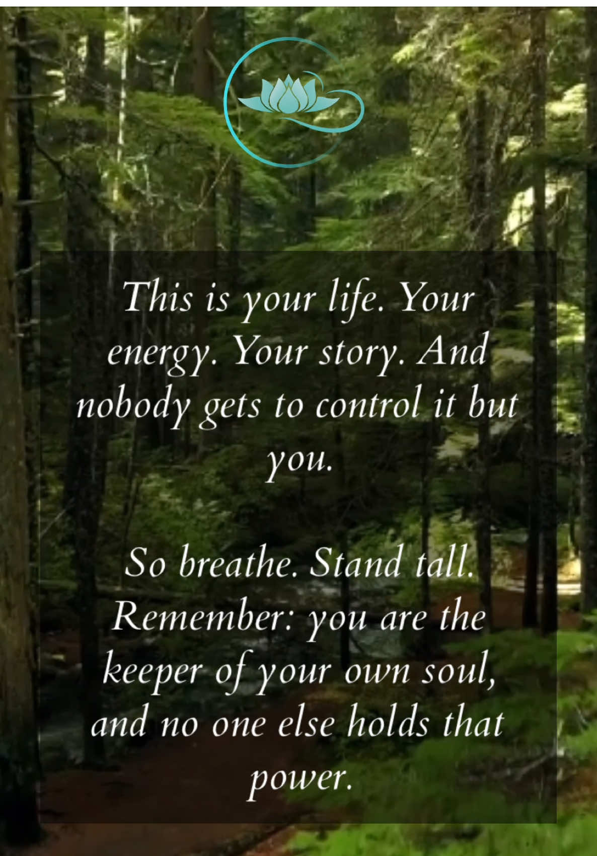 @Rainforest Holistics