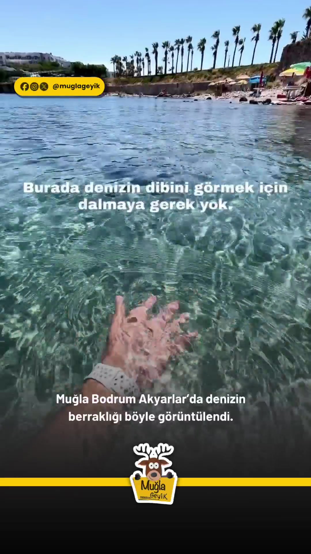 @Muğla Geyik
