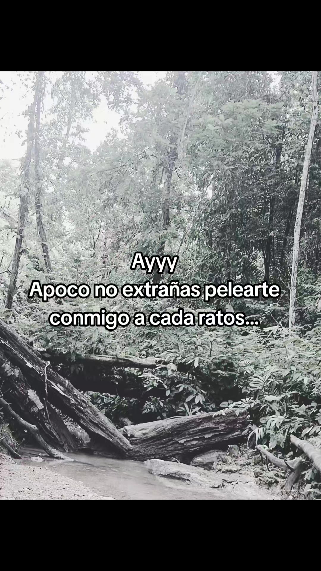 @gemelo Lopez 🥰