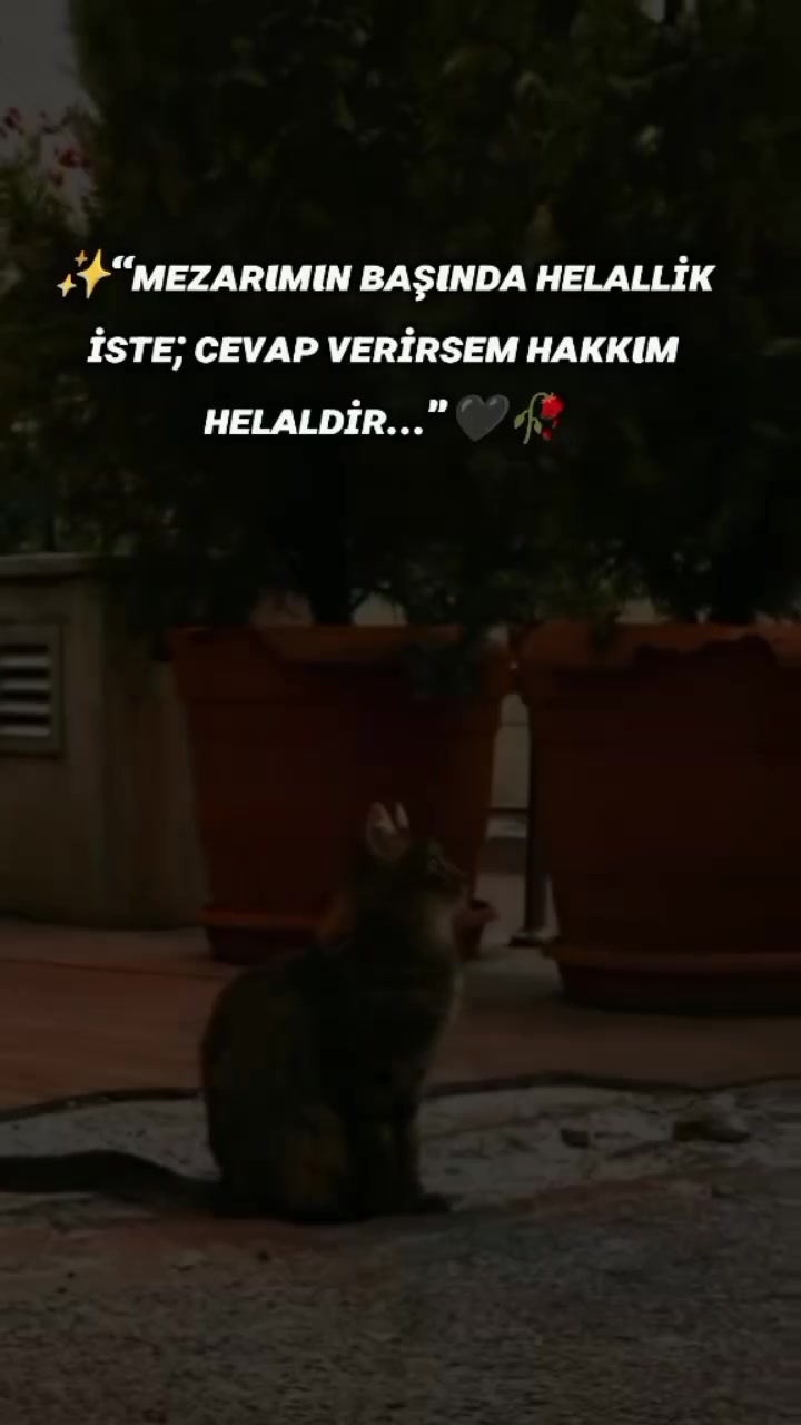 @mavigöl