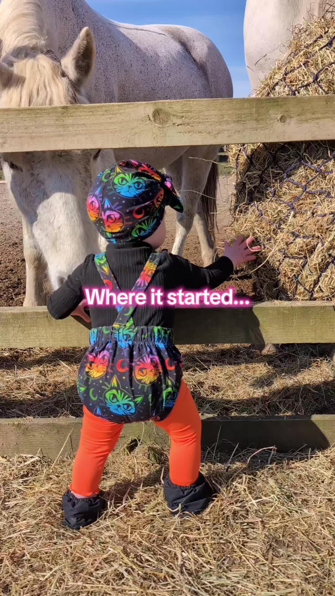 @The.Unstable.Stables