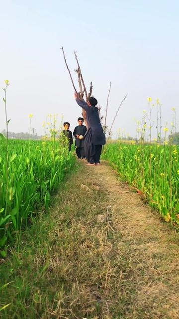 @alibhailashari6