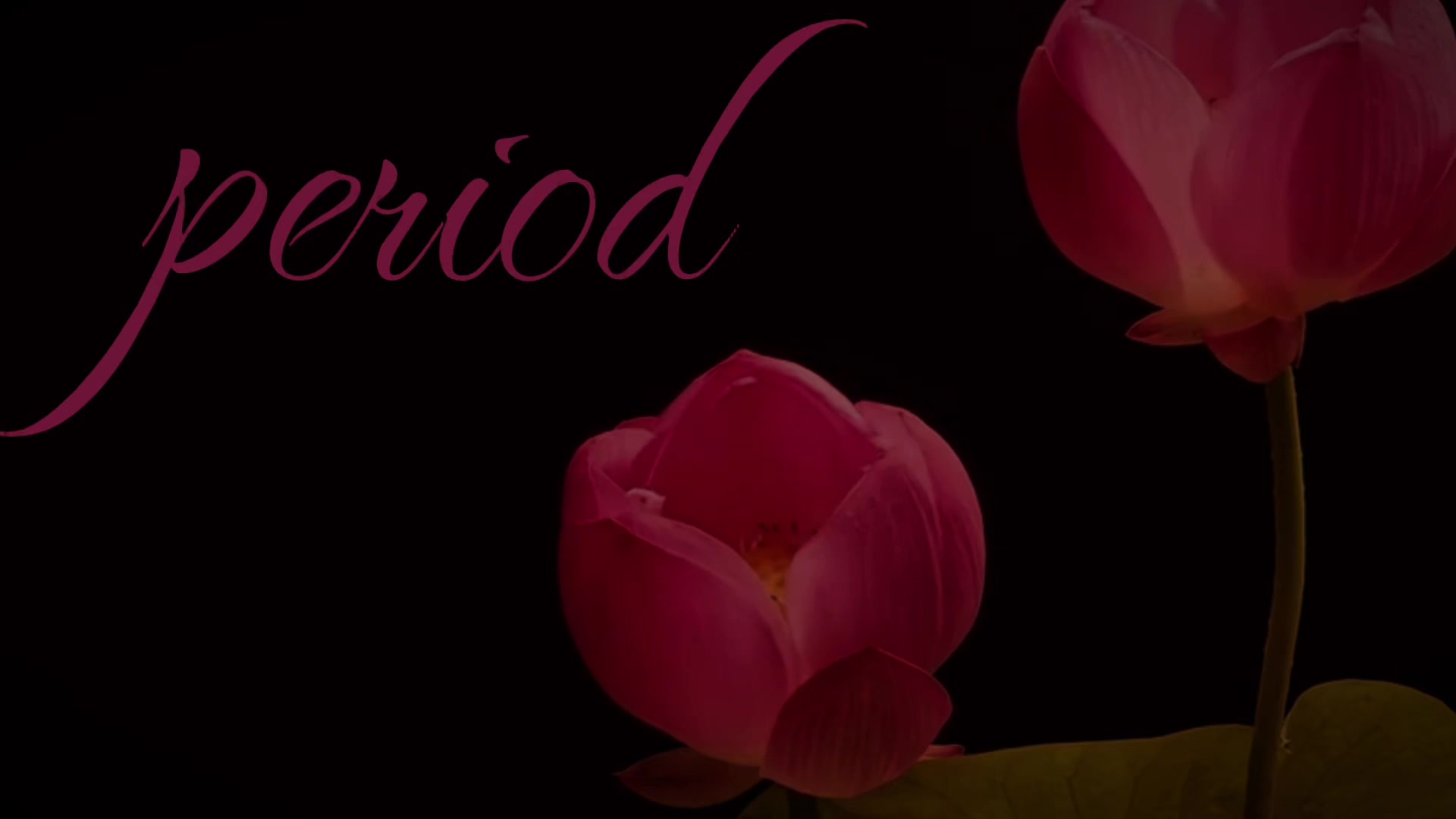 @She Will Bloom