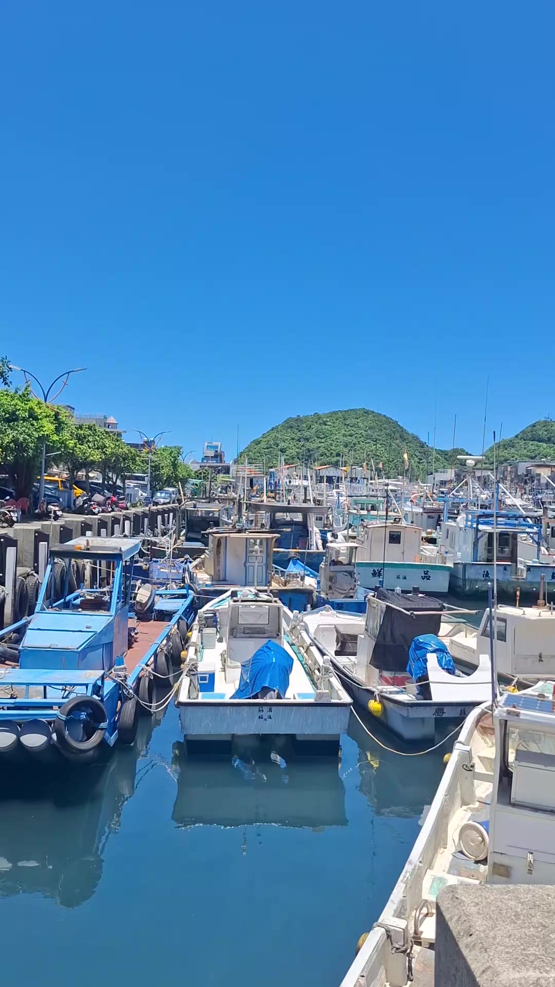 @張漢娟