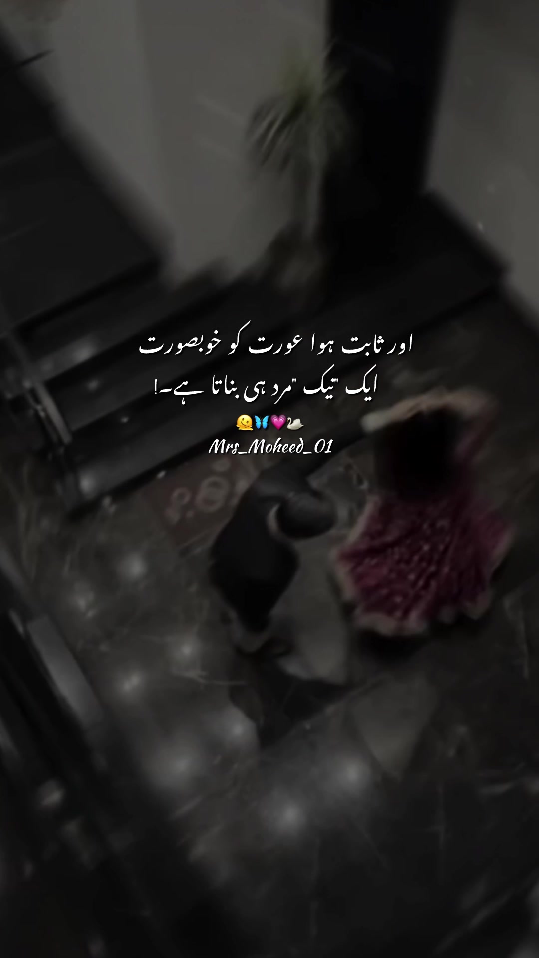 @𝘔𝘙𝘚_𝘔𝘖ح𝘌𝘌𝘋 •°࿐