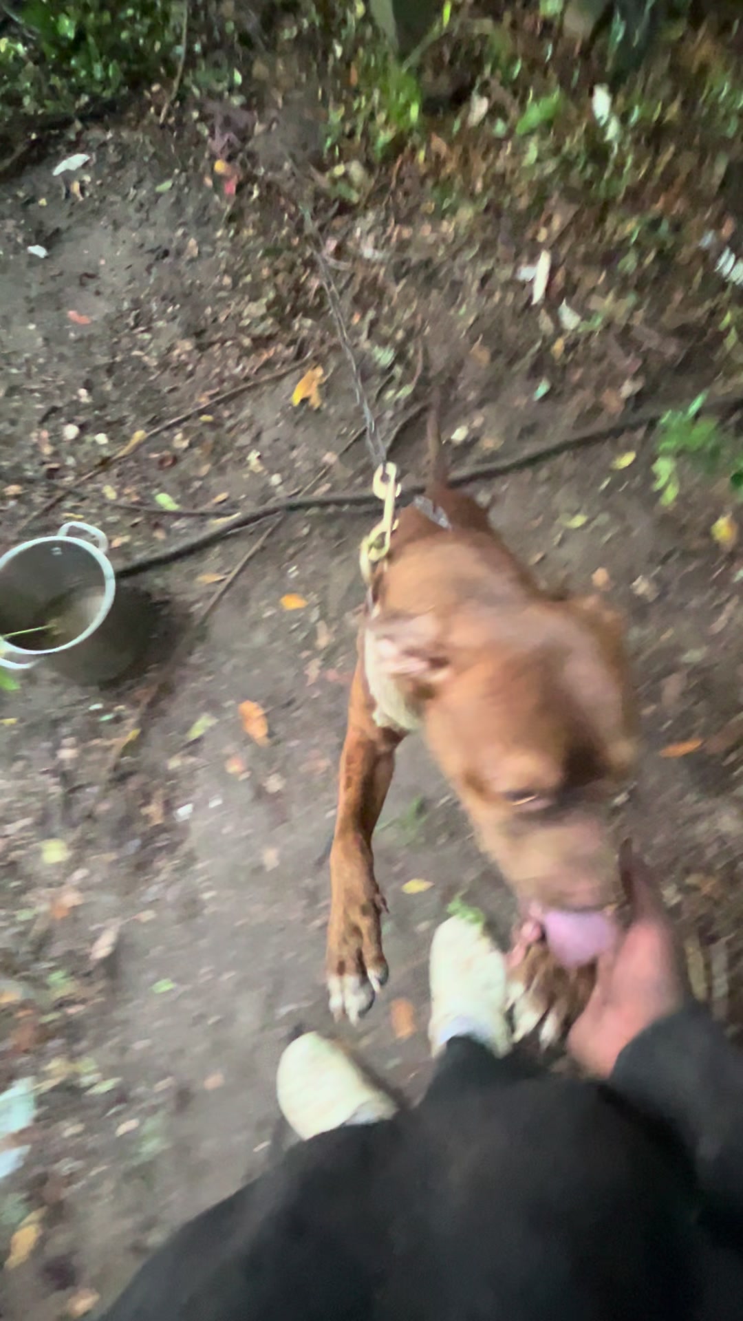 @kamwithapbt