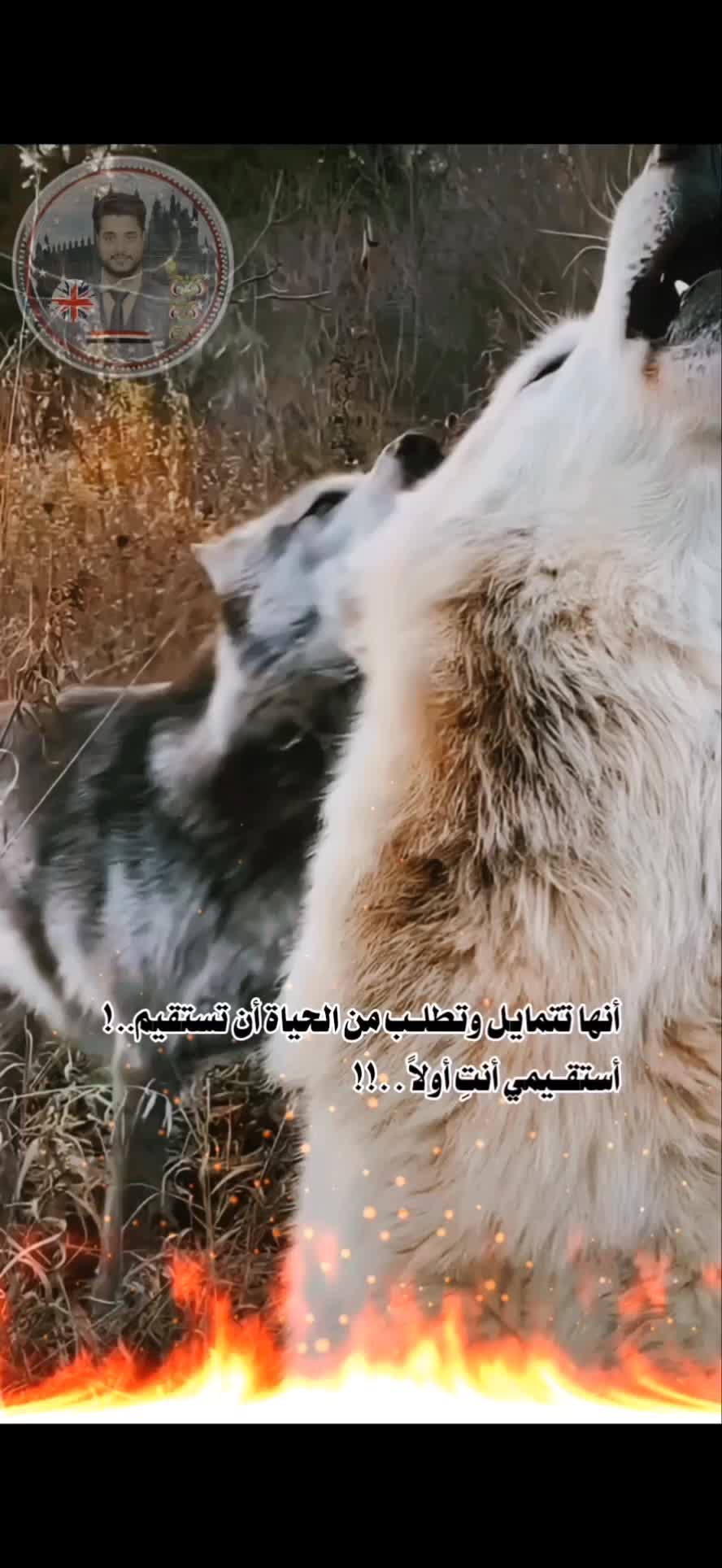@أرسـ🇬🇧ـͫــⷷــꙷــــلانـ𓄂🇾🇪