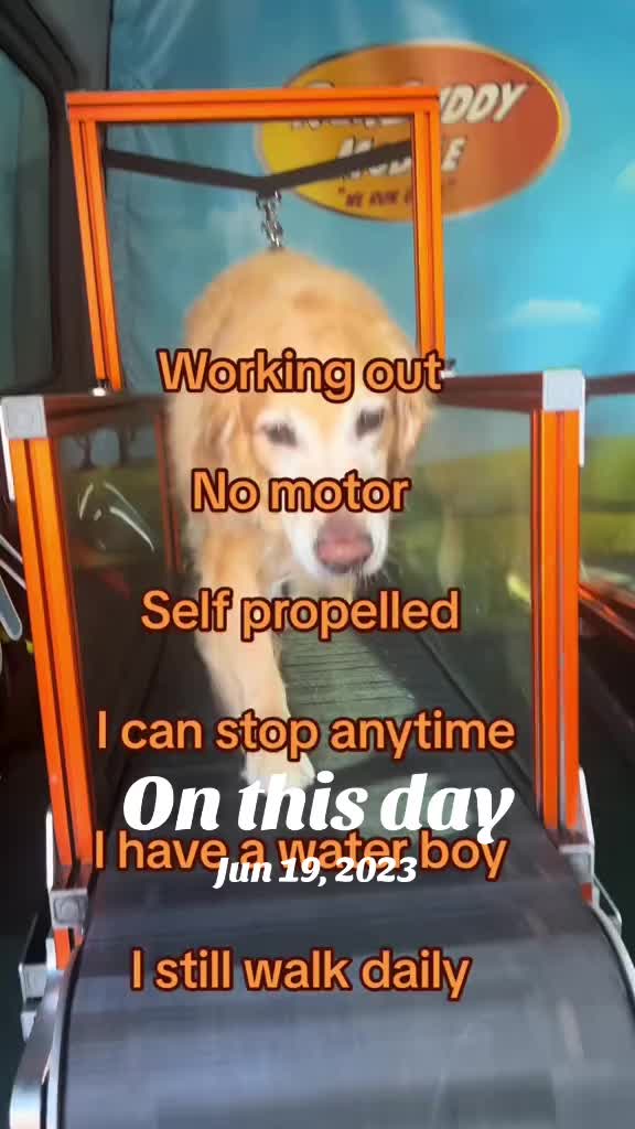 @Oden