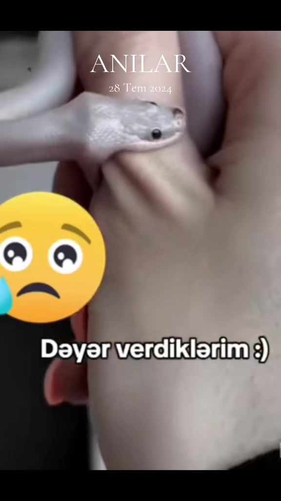 @✍ Darixan adam