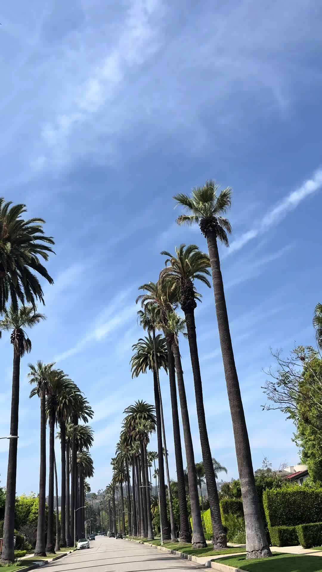 @Sballa_