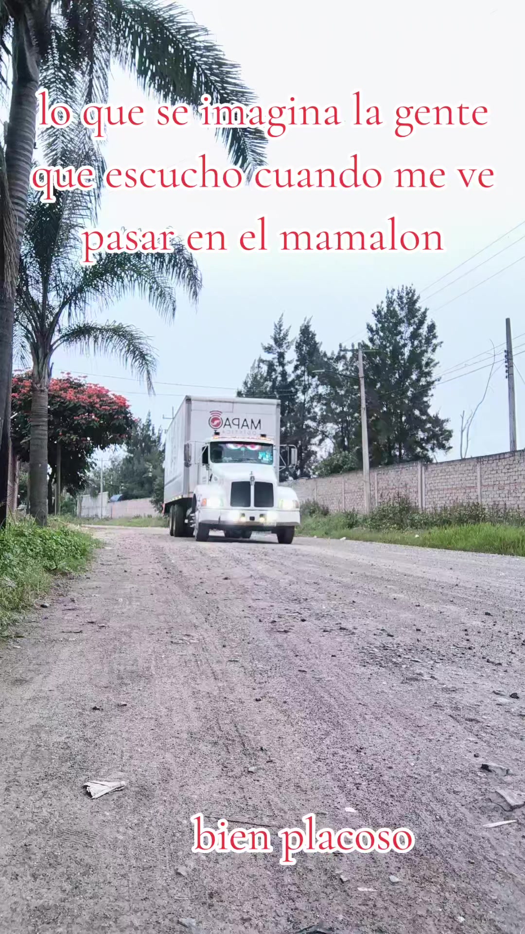 @chino cachimbas🚛🐽💊💊✌🏻