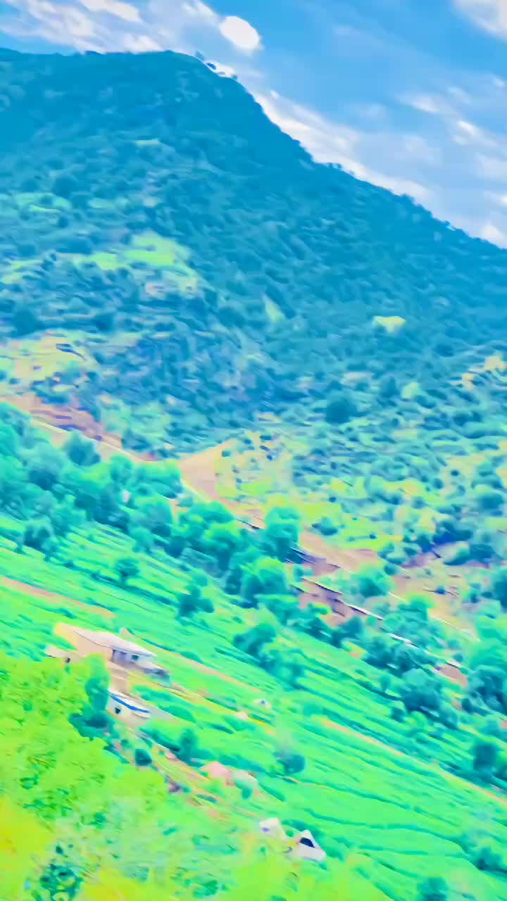 @👻WAQIF__KHON 👻