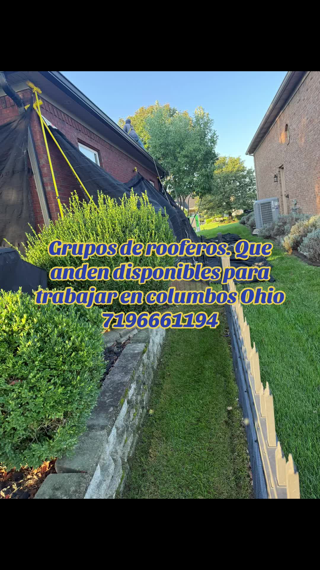 @Luis Franco