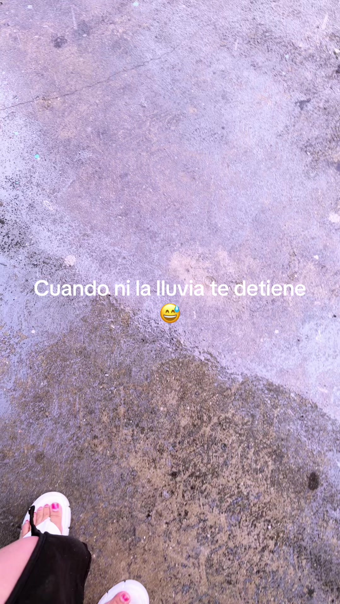 @Angeles Castellon
