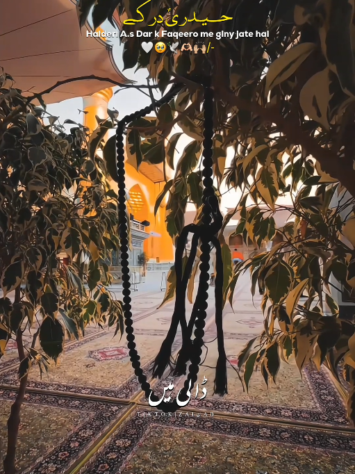@𝐙𝐀𝐈ن𝐀𝐛ރ