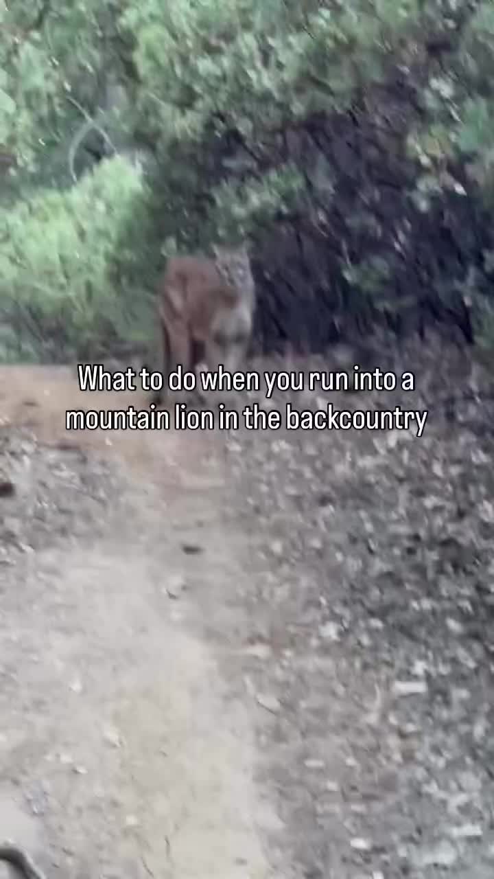 @wilderness.education