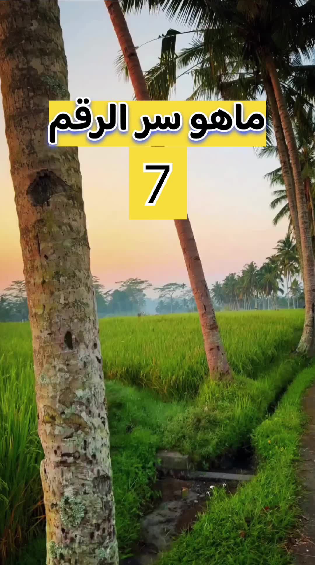 @قصة وعبرة