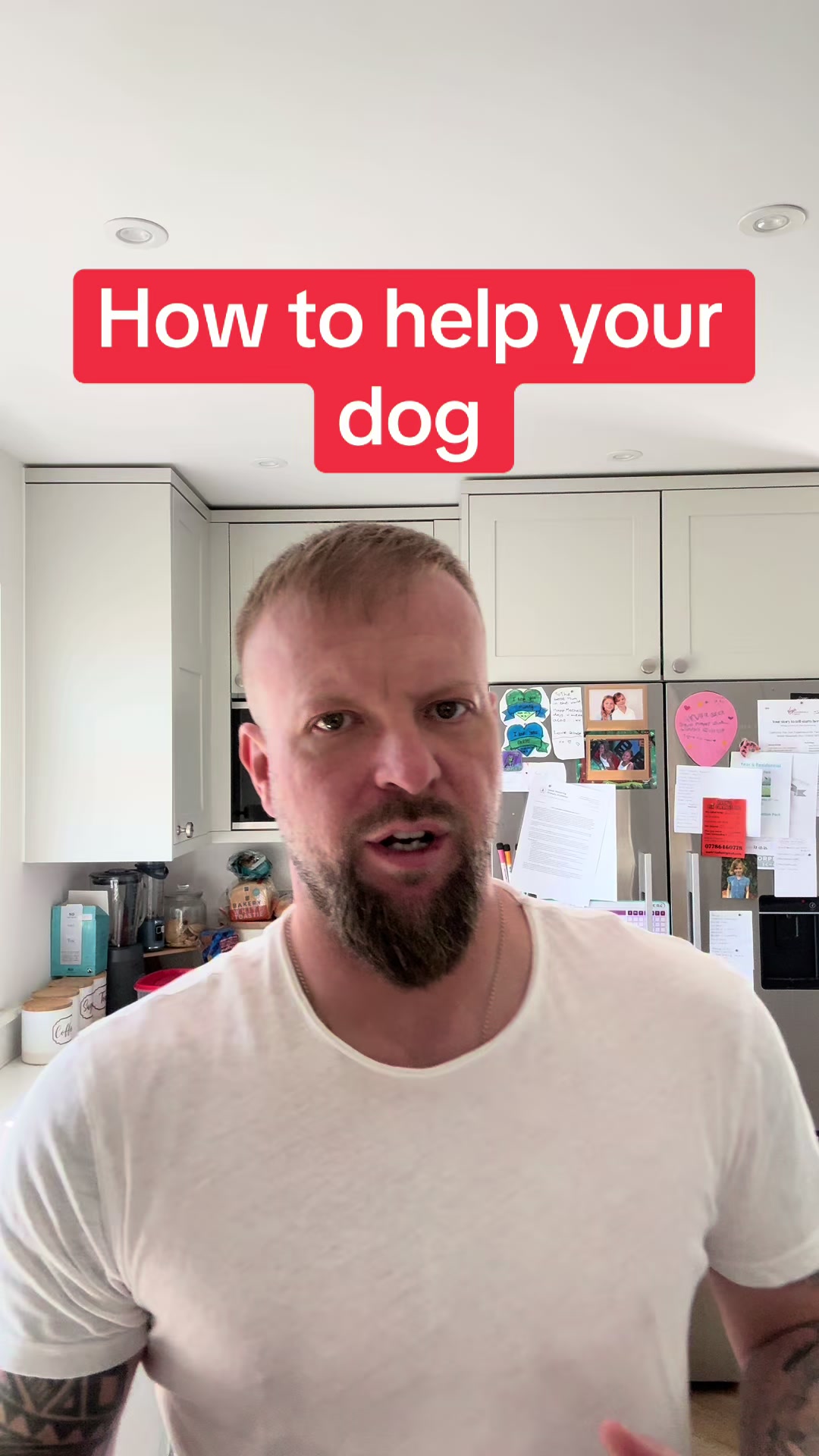 @SouthendDogTraining
