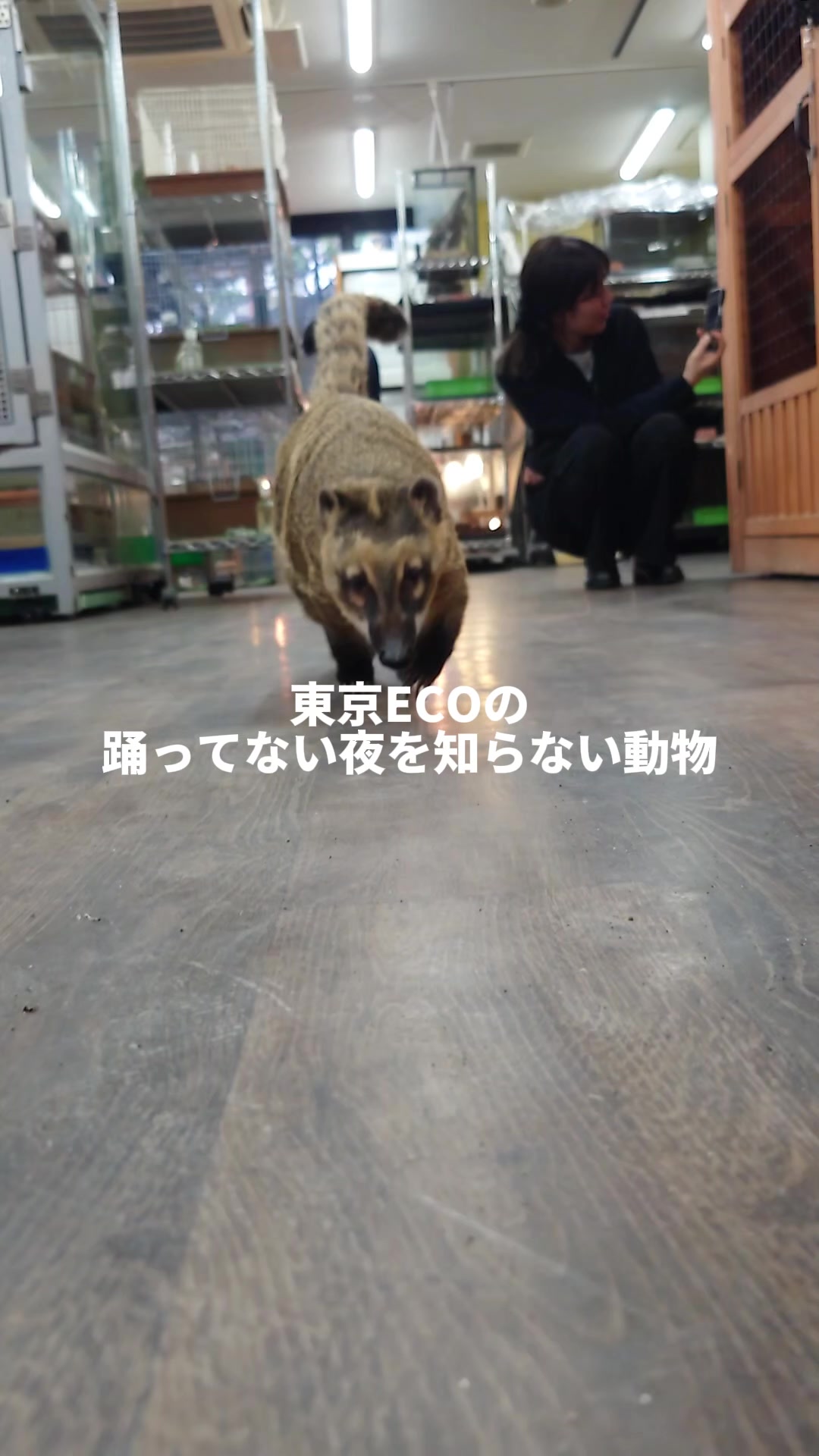 @TCA東京ECO動物海洋専門学校