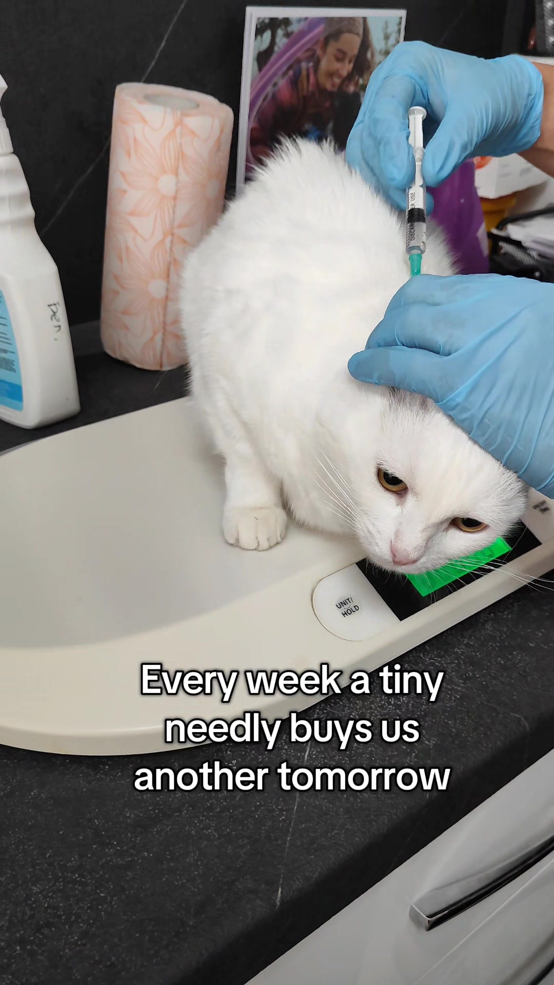 @Fluffy and Pixie
