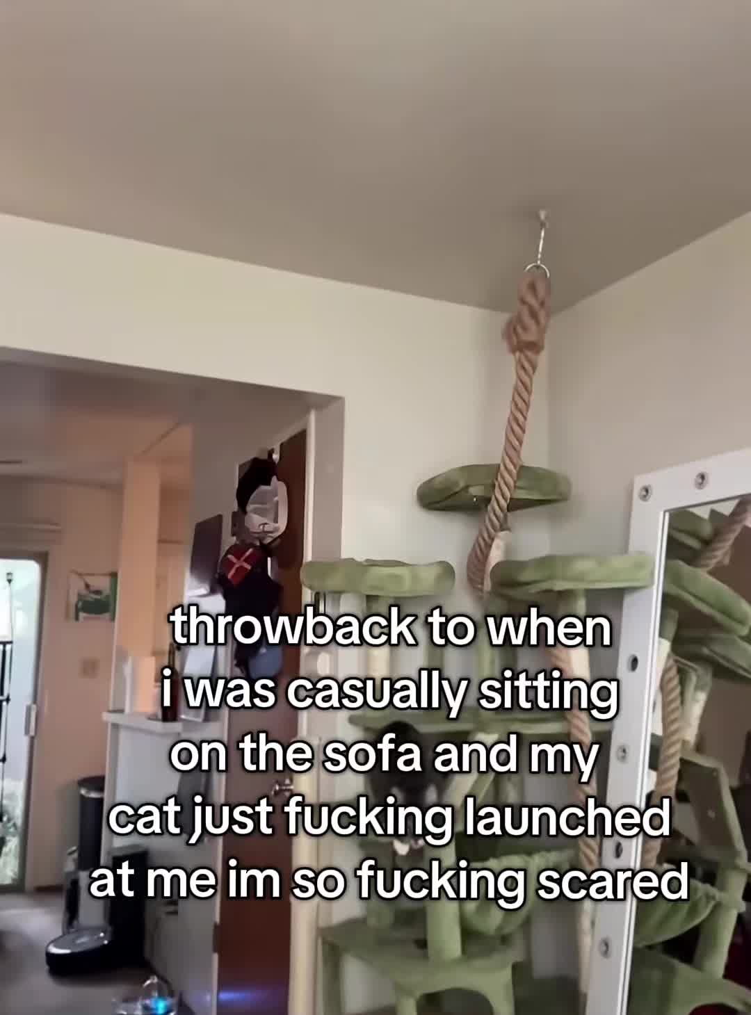 @eloki
