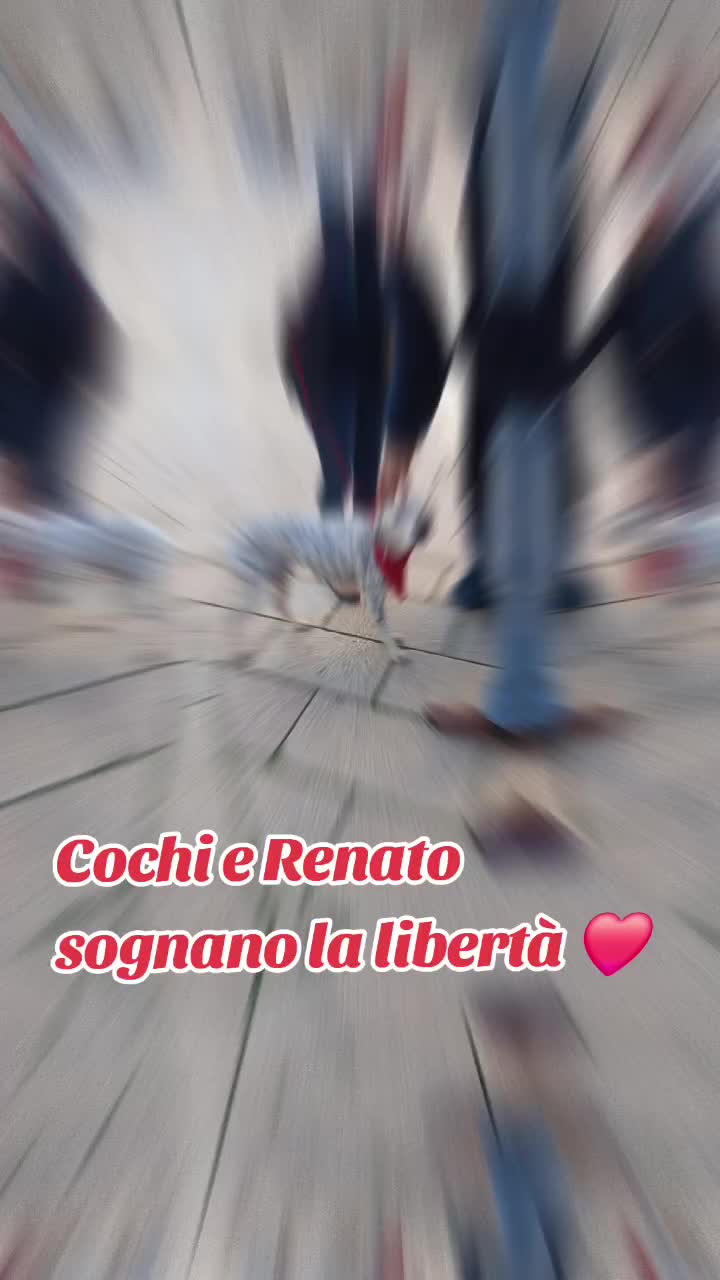 @Mikela Di Maio