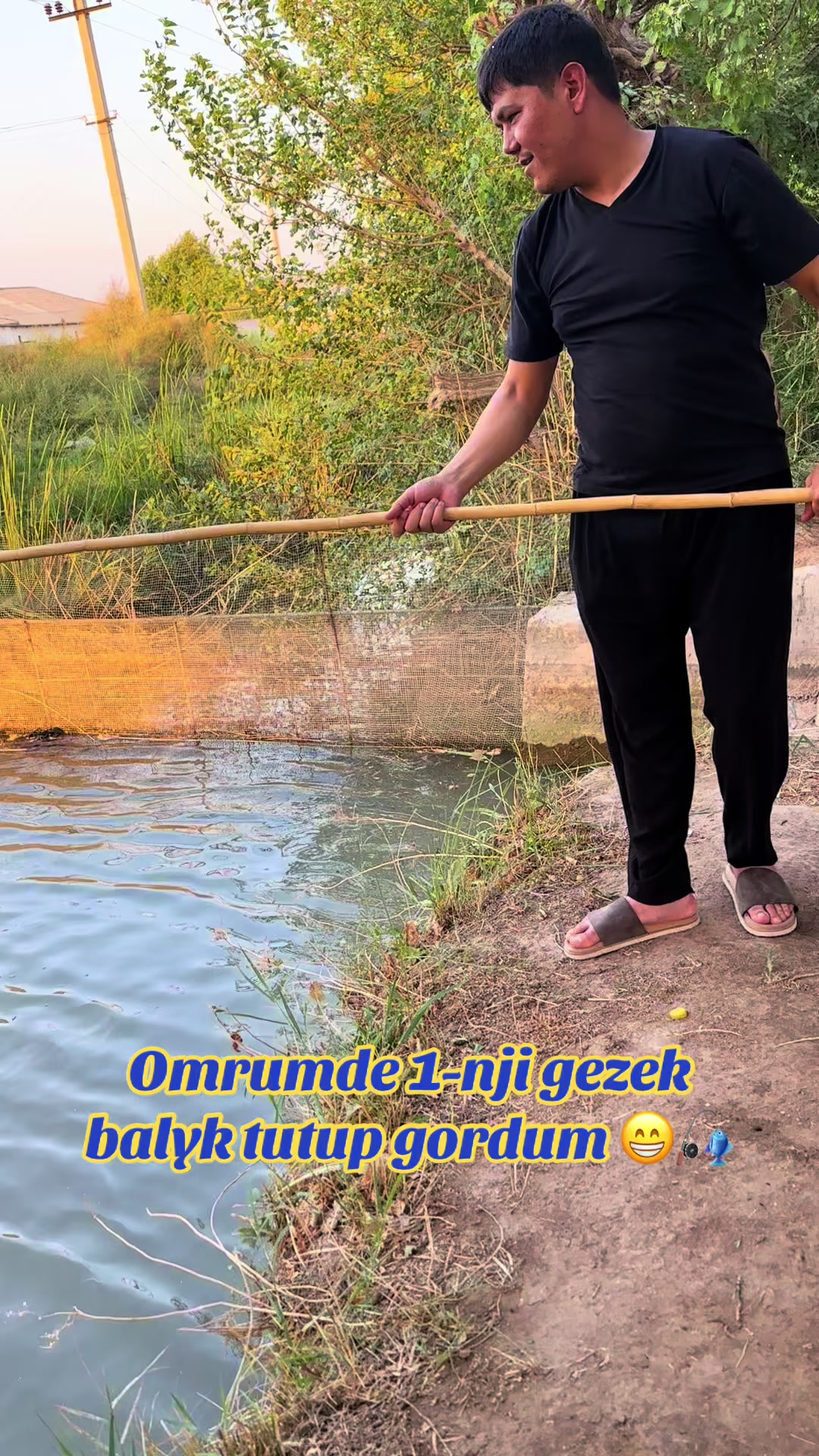 @Timur Umirov